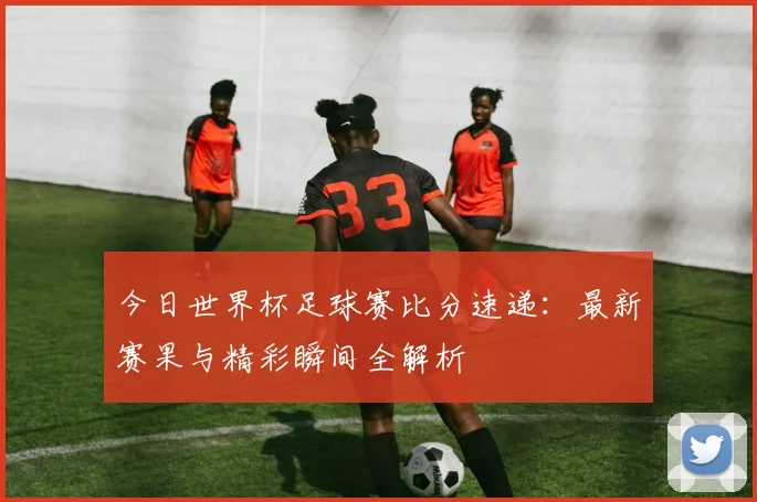 今日世界杯足球赛比分速递：最新赛果与精彩瞬间全解析
